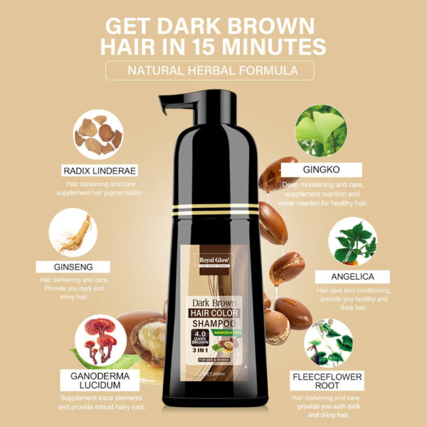 Royal Glow Hair Colour Shampoo 200ml – Instant Grey Coverage, Ammonia-Free, Multi-Use for Men & Women