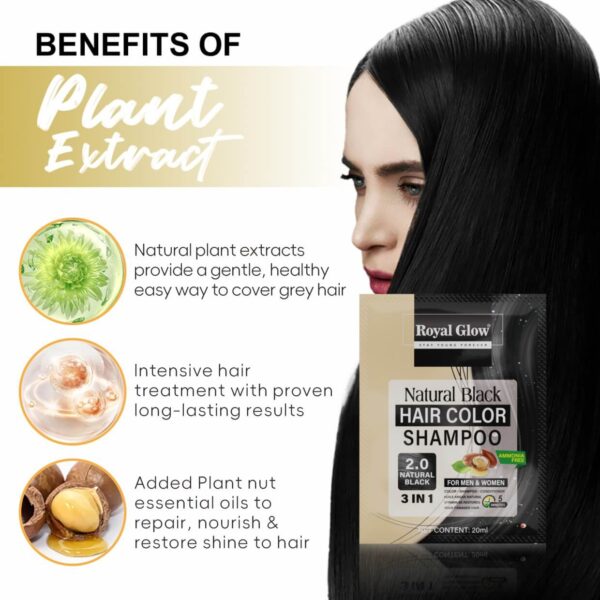 Royal Glow Hair Colour Shampoo Sachets (10 x 20ml) – Ammonia-Free, Instant Grey Coverage, Travel-Friendly
