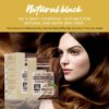 Royal Glow Hair Colour Shampoo Sachets (10 x 20ml) – Ammonia-Free, Instant Grey Coverage, Travel-Friendly